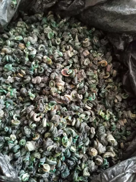 Pervinca secca/Isam. Buona da preparare deliziosa zuppa nigeriana.25 g@£3,90 + £1,50 posta Pervinca secca/Isam. Buona da preparare deliziosa zuppa nigeriana.25 g@£3,90 + £1,50 posta