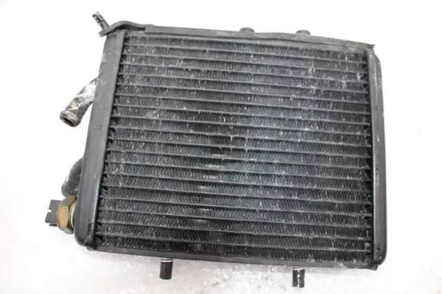 Kühler Wasserkühler Watercooler Radiator Aprilia Leonardo 125 MB 96-01 #R5760 2