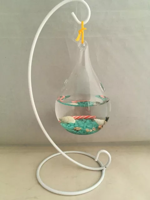 Baby Marimo Moss Ball w Drop Glass Bottle w Gravel Seashell Sea fan Mother's Day