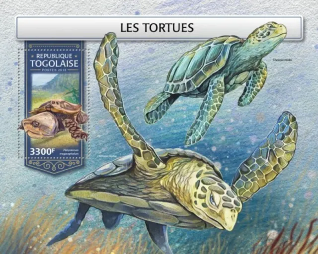 Togo - 2018 Turtles auf Briefmarken - Briefmarke Souvenir Blatt - TG18205b