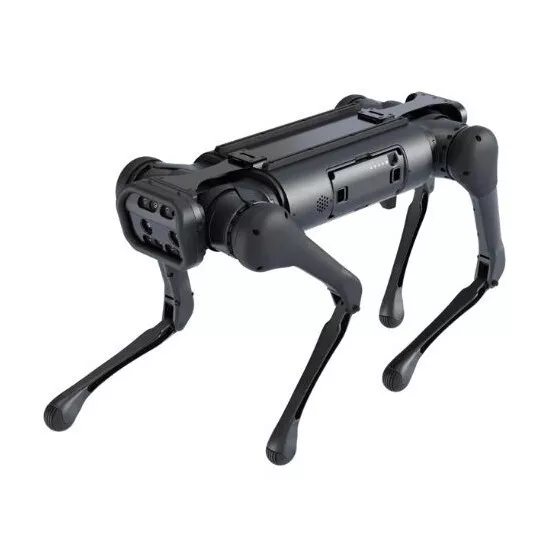 Unitree AlienGo Robot Dog