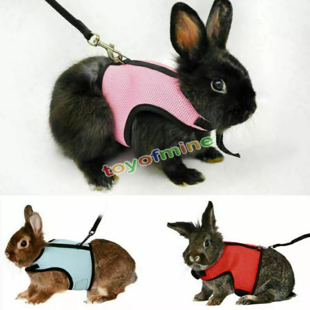 Hamster Rabbit Squirrel Mesh Harness Leash Small Pet Vest Suit Outdoor Jogging