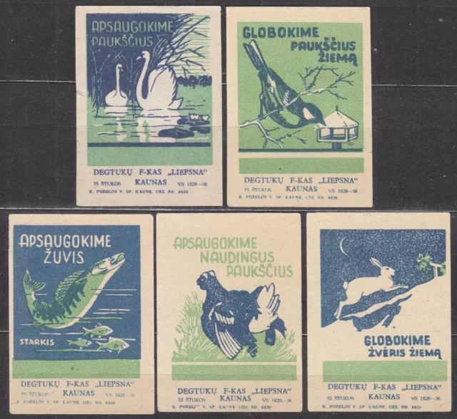 SU LTSR 1958 Matchbox Label # 234/38 set, Guardia gli animali, 2a edizione.