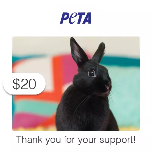 $20 Charitable Donation For: PETA's Vital Work to End Animal Suffering