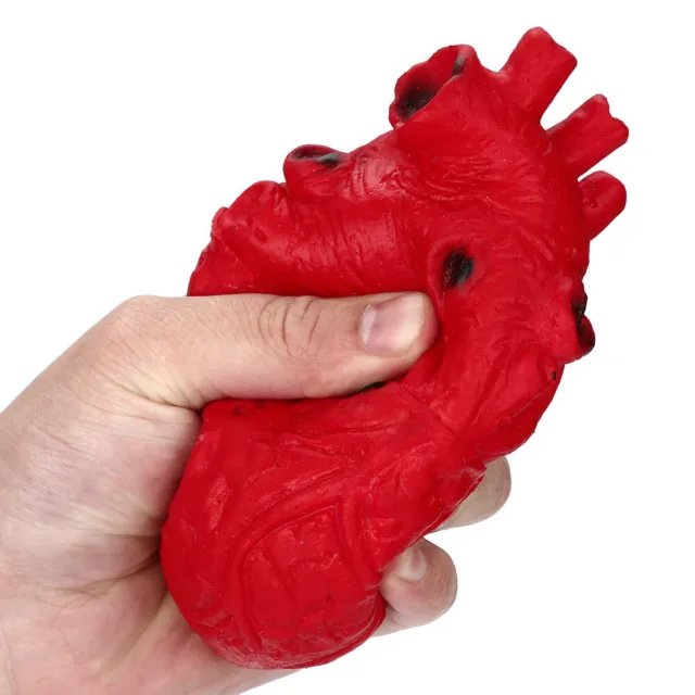 Novelty Silicone Stress Ball Scary Organ Heart Squeeze Toy Sewing Toddlers