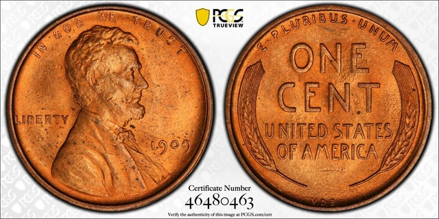 1909 VDB Lincoln Wheat Cent 1c PCGS MS64 - Amazing Goldshield MS64 '09 VDB Red!