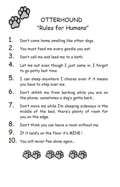 Otterhound "Rules for Humans" - CUSTOM MATTED - Dog Art Print : GIFT