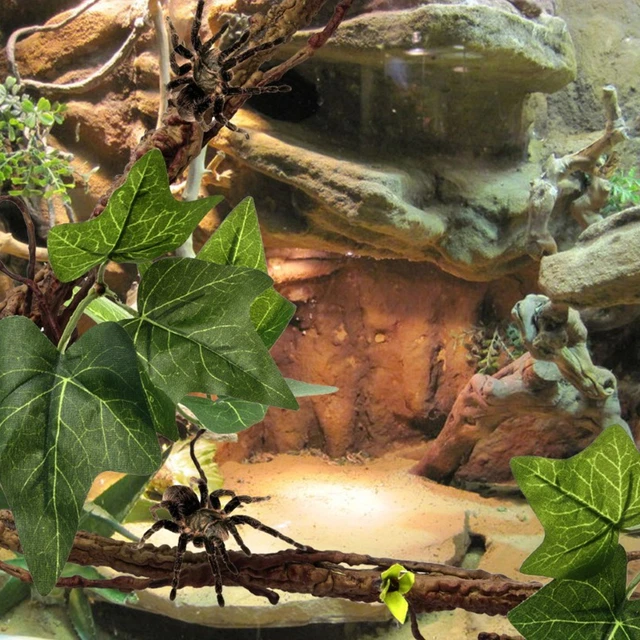 Reptile Corner Branch Terrarium Pflanzendekoration Mit Saugnäpfen Für Amphi YIN