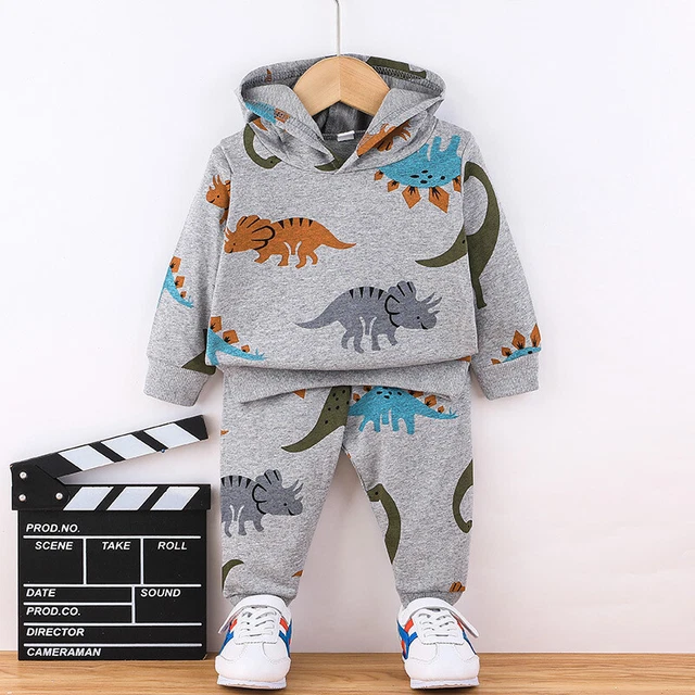 Baby Toddler Boys Tracksuit Dinosaur Hoodie Top Pants Set Outfits Casual Clothes