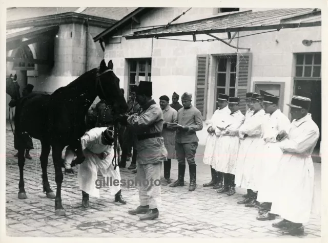 ALFORT c. 1940 - Ecole Vétérinaire Val de Marne - DIV874