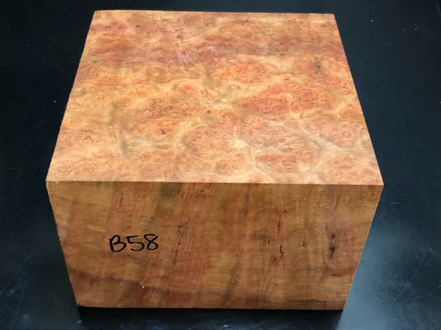 B58) Camphor Burl Block (6 x 6 x 4) Air Dried Wood Turning Bowl Blank