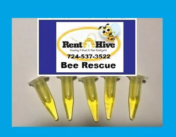Swarm Pro Swarm Spray Crush Vials (5 Pac SWARM PRO LURE Bee Whisperer Kit