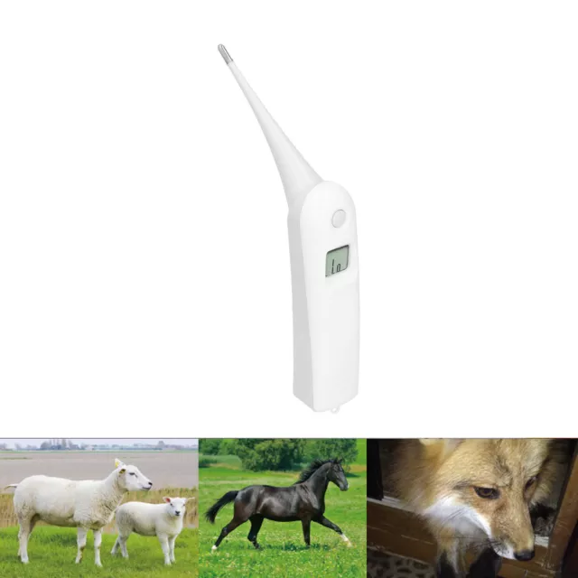 Animal Electronic Ehermometer Rectal Thermometer Temperature Measure Tool SD