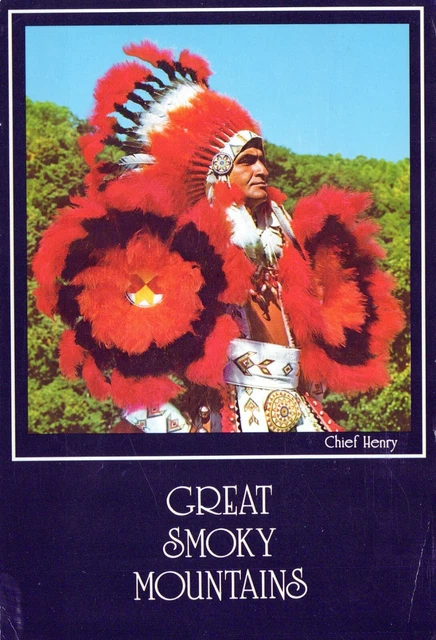 Indian Chief Henry Native American Great Smokey Mountains 4x6 Postcard