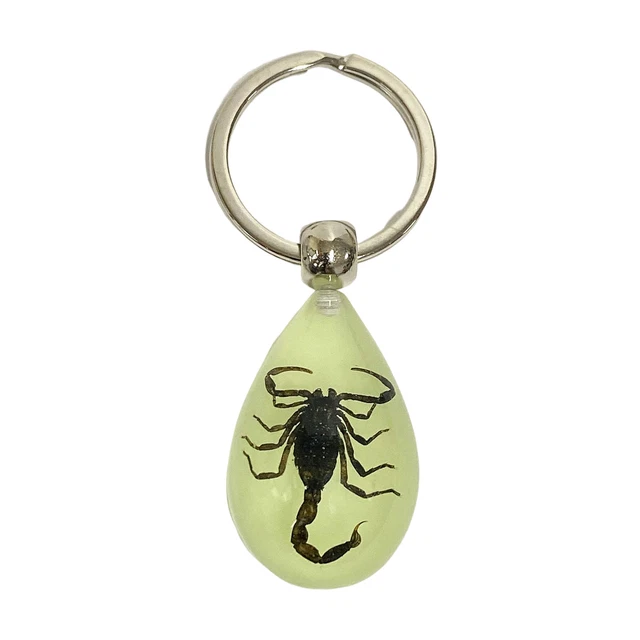 Keychain Decor High Strength Wide Application Keychain Spiders Sample Inside