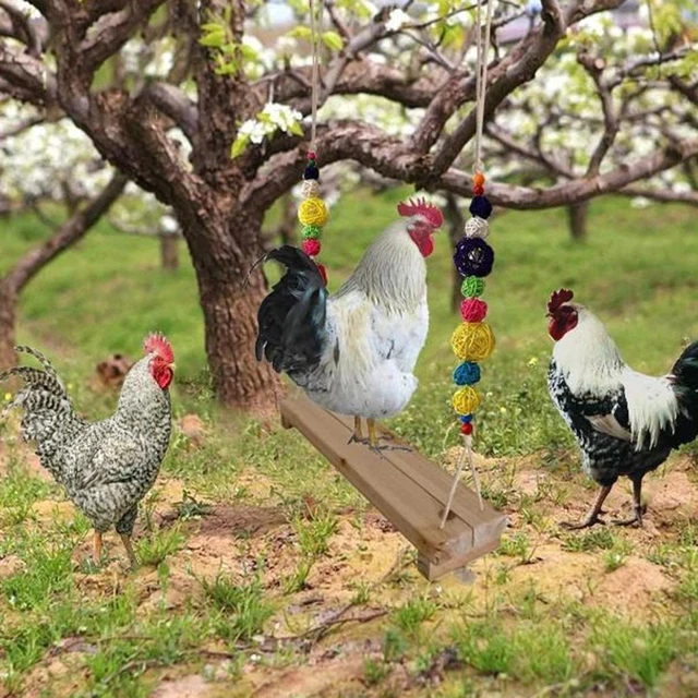 2x Hühnerschaukel Holzvögel Barsch für Huhn große Vögel Budgie Sittich