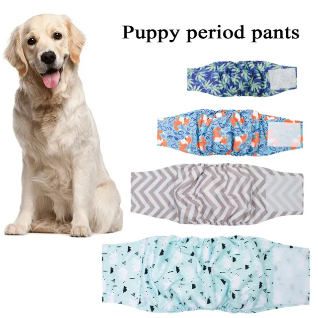 Nappie/Pañales Ropa Interior Pantalones Sanitarios Cachorro Shorts Pañal Perro "