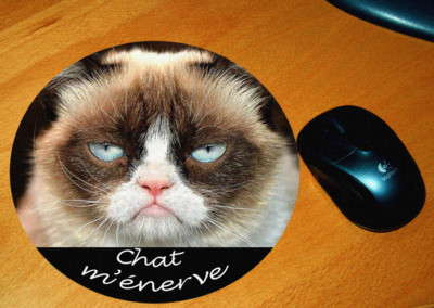 Tapis De Souris Humour Chat M Epuise Eur 7 10 Picclick Fr