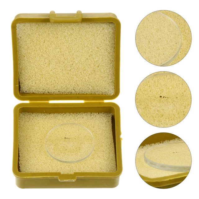 Règle De Calibration (réticule) Pour Microscope - Glissière Micrométrique 25x75mm - Précision 0.02mm - Marque Tomoslter
