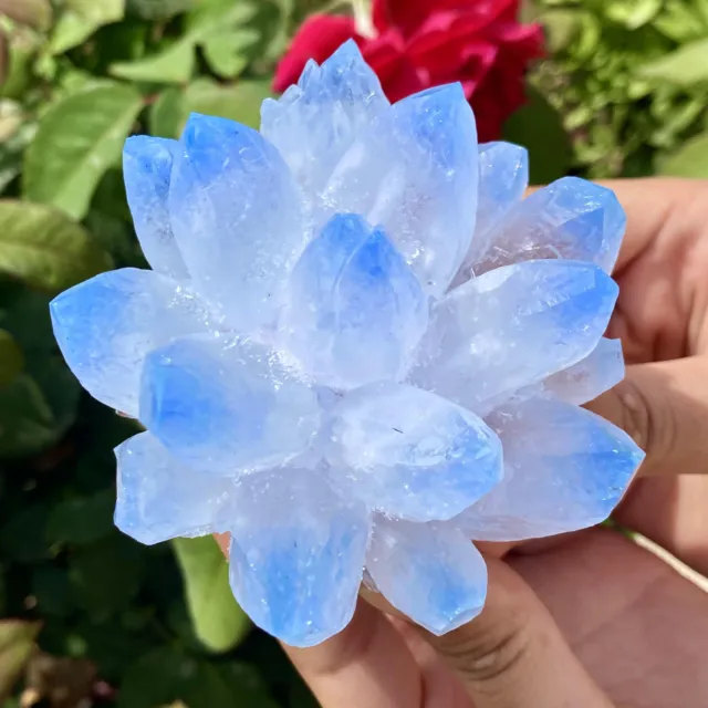 355G New Find sky blue Phantom Quartz Crystal Cluster Mineral Specimen Healing