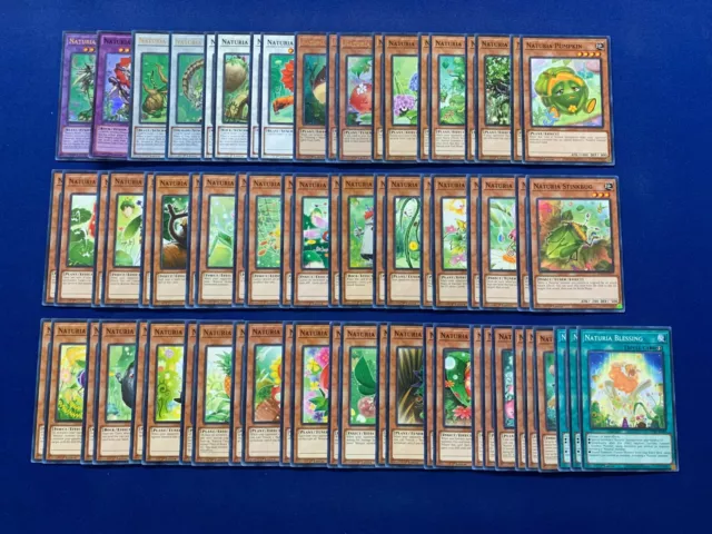 Yu-Gi-Oh! - Complete Naturia Synchro Deck