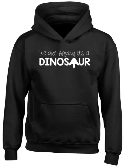 We are hoping it's a Dinosaur Funny Boys Girls Kids Childrens Hooded Top Hoodie
