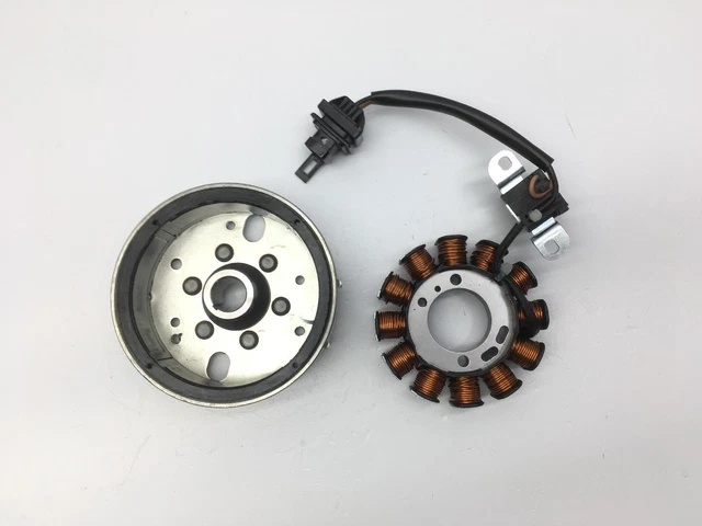 Statore E Rotore Di Accensione Per Dirt E P Bike - Foto 13