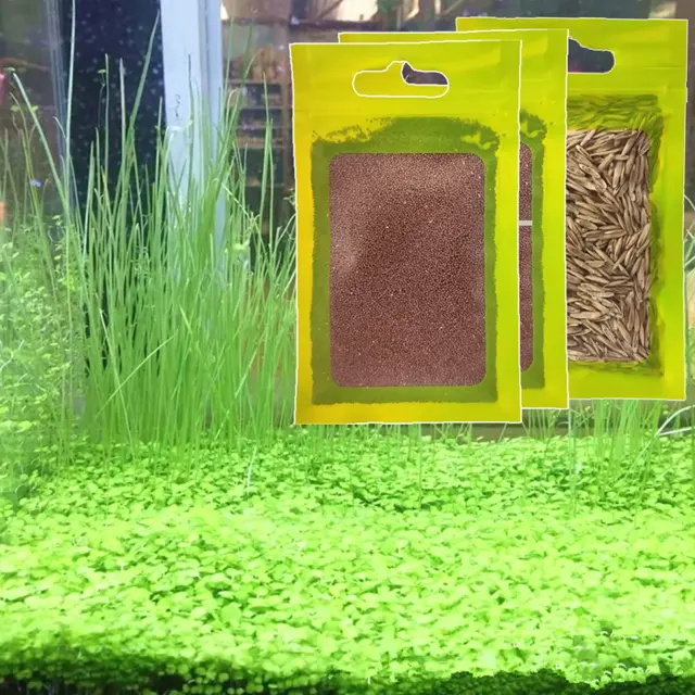 3 Pack  Seeds Fresh Water Fish Tank Carpet Grass Plants Mini