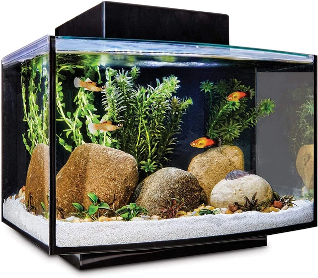 Petco Brand -  Platform Freshwater Aquarium Kit, 6.6 GAL