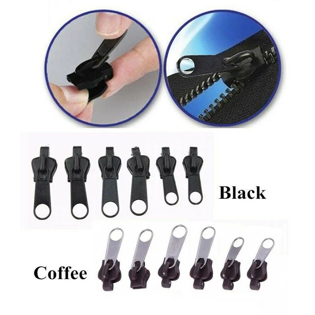 MODÈLE DE CYCLE De Vie Du Cycle De Croissance Des Plantes éducatives