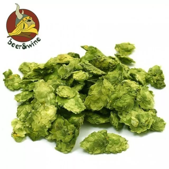 Luppolo Hallertau Hersbrucker In Coni (100 Gr.) - Crop 2019 Birra Fatta In Casa