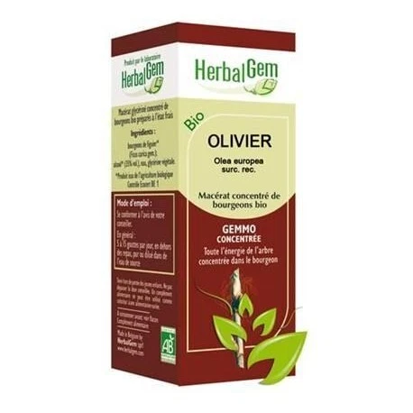 GEMMOBASE Olivier