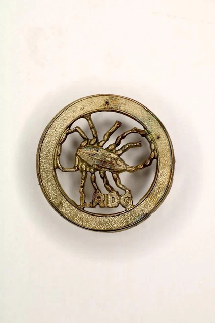 Ancien insigne armée Égyptienne - Insignes - Pucelles - Fourragères