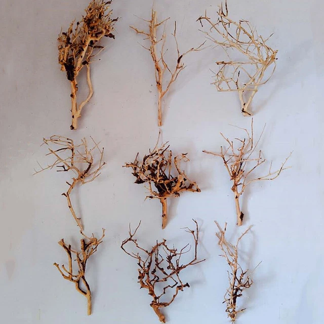 1 Mini Driftwood Aquarium Moss Tree Small Plant Branch Fish Tank Landscape Decor