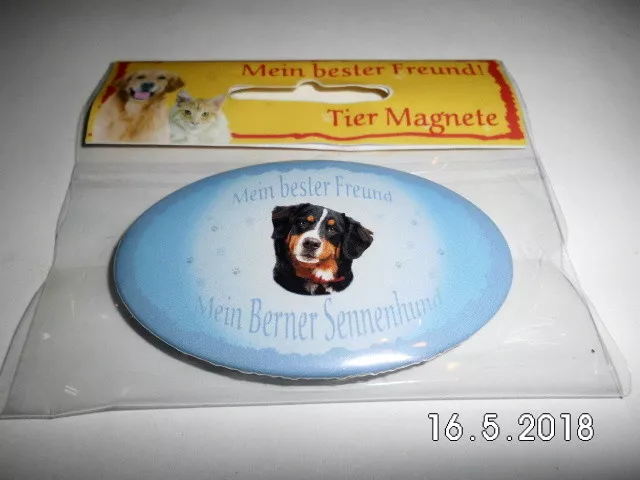 Magnet Flaschenöffner Berner Sennenhund, Kühlschrankmagnet, Hund