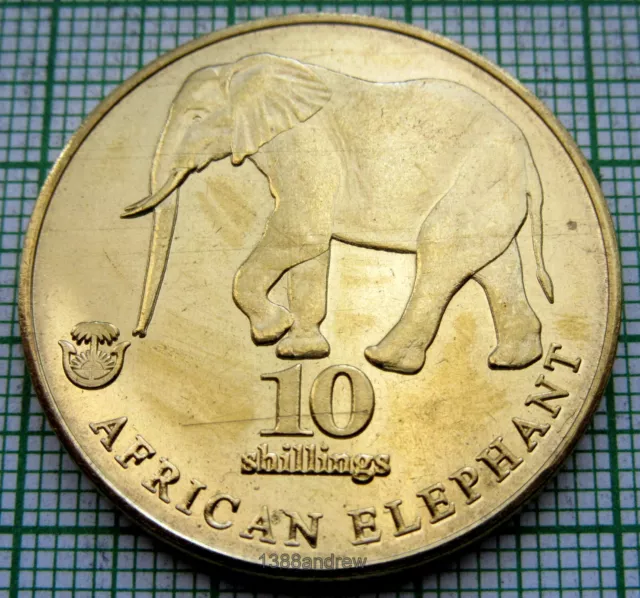 Biafra 2017 10 Shillings, African Elephant, Unusual Coin