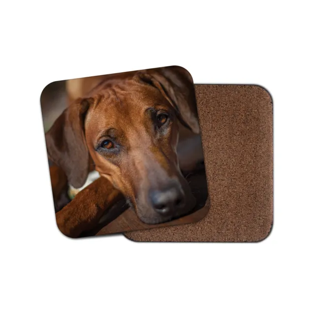 Rhodesian Ridgeback Coaster - Beautiful Dog Puppy Cool Animals Pets Gift #12664