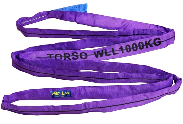 Imbracatura rotonda 1t nastro di sollevamento lunghezza 2 m viola RS12J cinghia di slip 02181