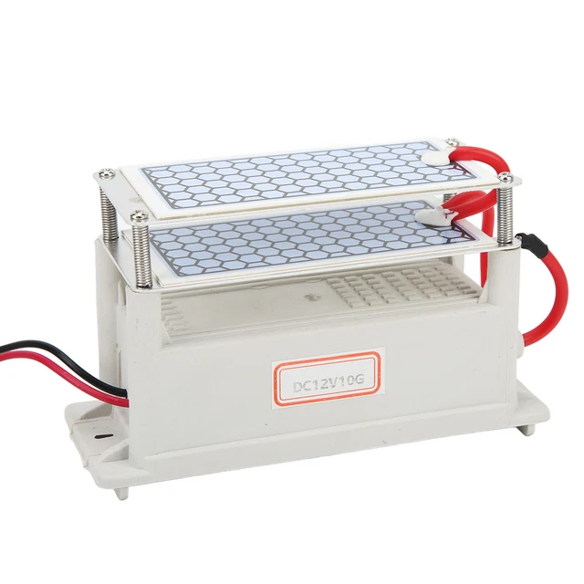 Générateur 'ozone En Céramique 10 000 MG/h Petite Machine à Ozone