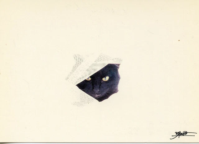 Cpsm / Carte Postale / Chat / Cat / Illustrateur Bruno Maso / Mystere / Mystery