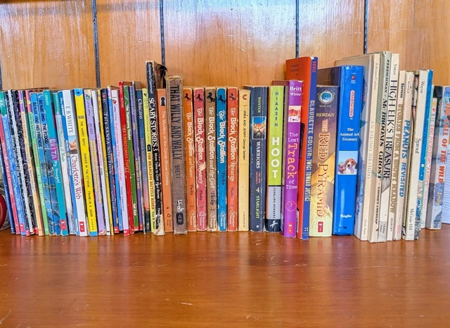 LOT OF 53 Childrens Young Kids Chapter Books Instant Library Variety ...