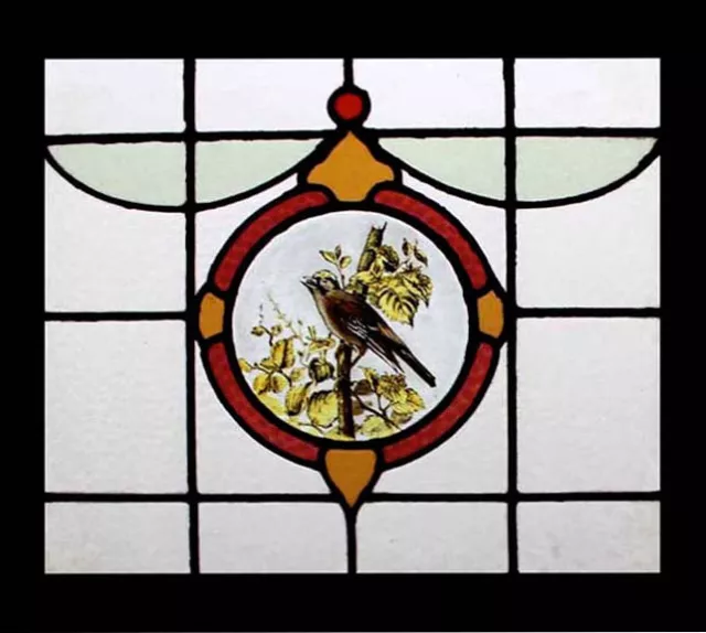 Stunning Rare Painted Song Bird Antique English Stained Glass Window