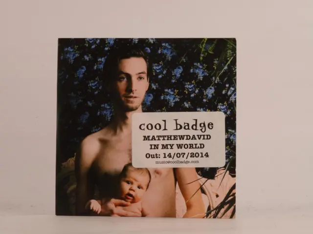 MATTHEW DAVID IN MY WORLD (502) 10 Track Promo CD Album Card Sleeve
