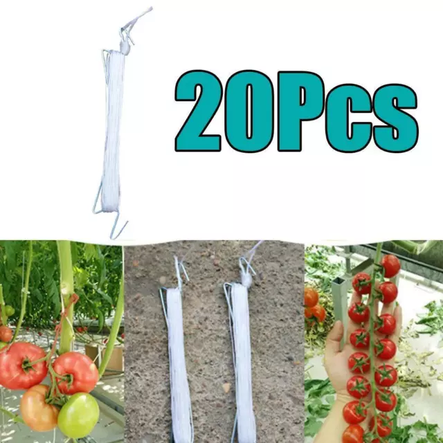 Set of 15/20/25/30 Garden Tomato Hooks Support Clips for Planting Vegetable