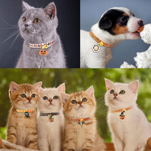 Pet Collar Kitten Dog Bell Safety Buckle Necklace Ornament Halloween GX, Q4Y6