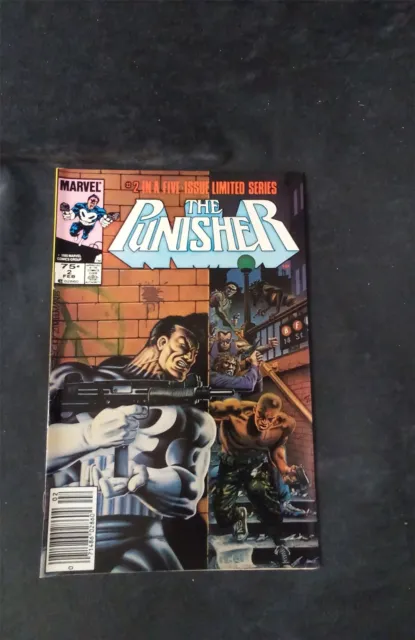 The Punisher #2 Marvel Comics Comic Book
