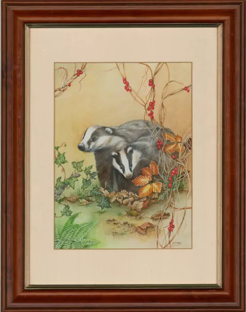 Sheila Hay - 20th Century Watercolour, Badgers in Autumn