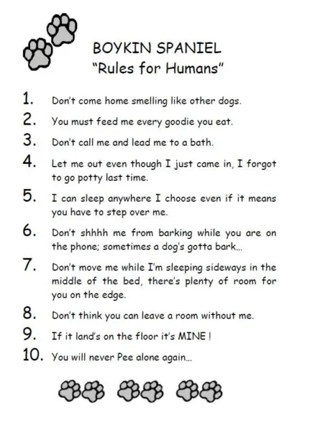 Boykin Spaniel "Rules for Humans" - CUSTOM MATTED - Dog Art Print : GIFT