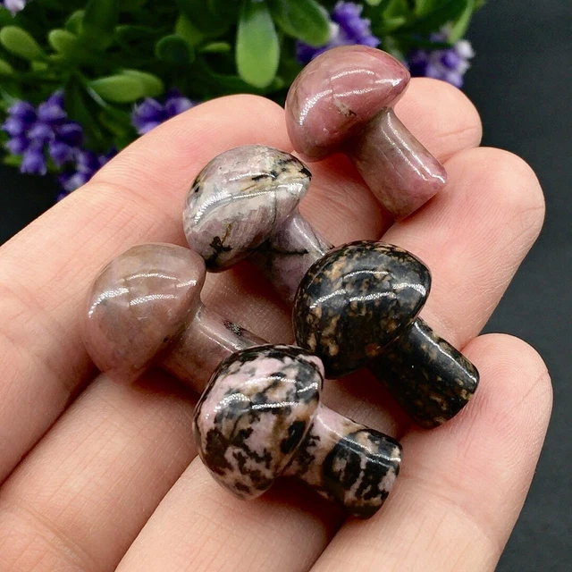 5PC Natural Rhodonite Jasper Mini Mushroom Carved Quartz Crystal reiki Healing