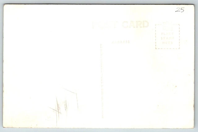 RPPC Real Photo Postcard -Northwoods Deer - Crystal Falls, Michigan 2